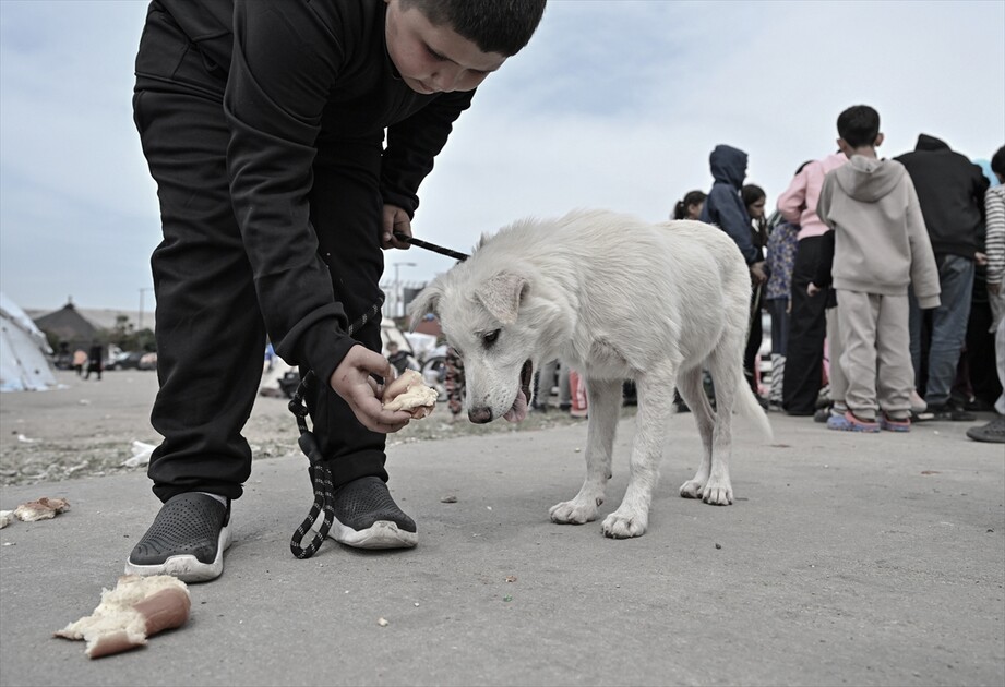 Displaced civilians struggle to survive in Beirut amid ongoing attacks