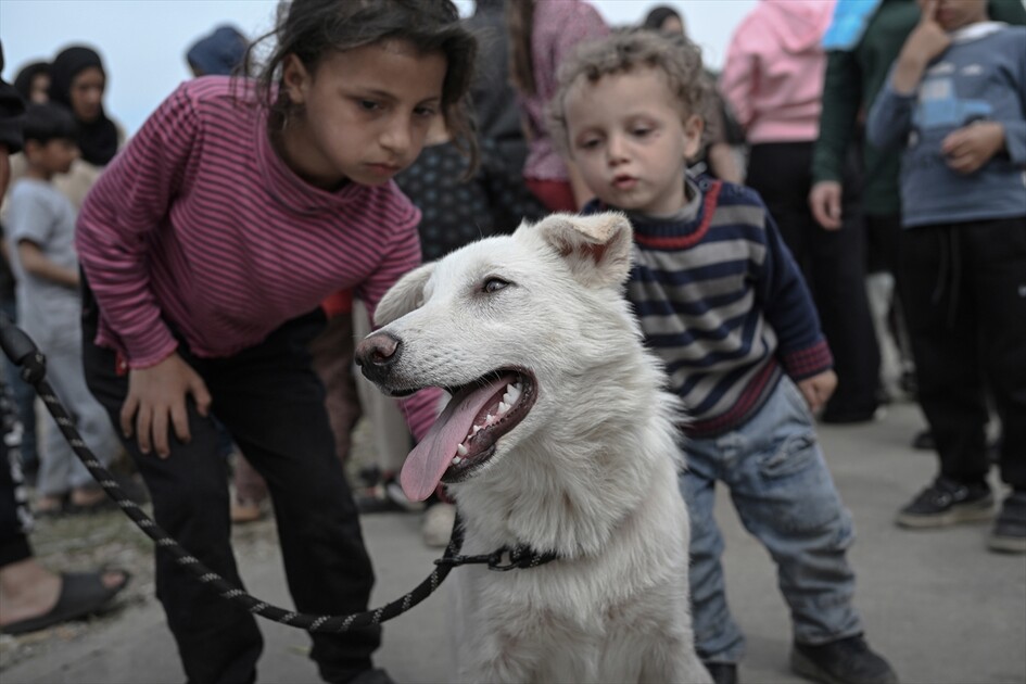 Displaced civilians struggle to survive in Beirut amid ongoing attacks