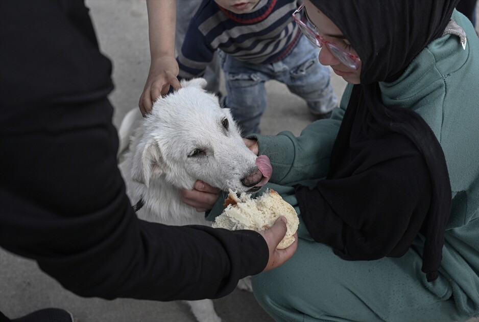 Displaced civilians struggle to survive in Beirut amid ongoing attacks