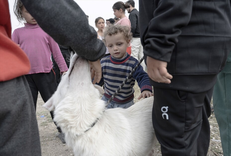Displaced civilians struggle to survive in Beirut amid ongoing attacks