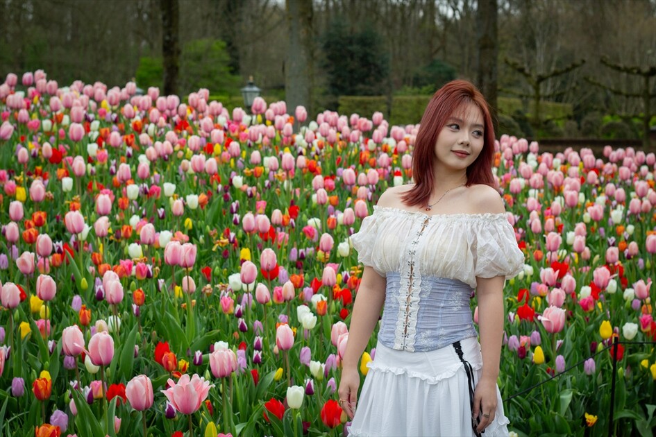Hollanda'da dünyanın en büyük lale bahçelerinden Keukenhof, 77'nci kez ziyarete açıldı