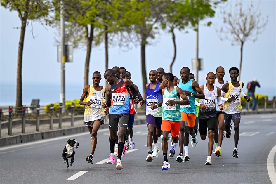 Türkiye İş Bankası 21. İstanbul Yarı Maratonu