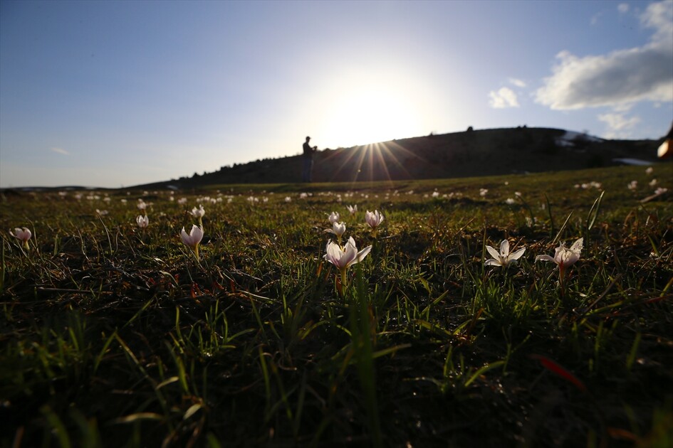 Bingöl'ün kuzeyinde kış, güneyinde bahar yaşanıyor