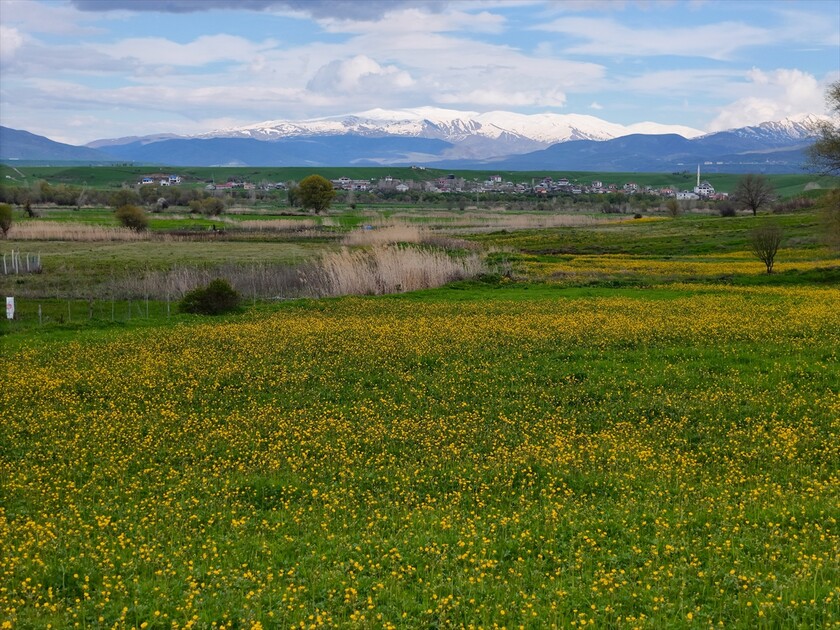 Bingöl'ün kuzeyinde kış, güneyinde bahar yaşanıyor