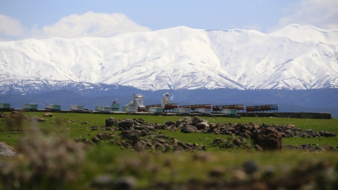 Bingöl'ün kuzeyinde kış, güneyinde bahar yaşanıyor