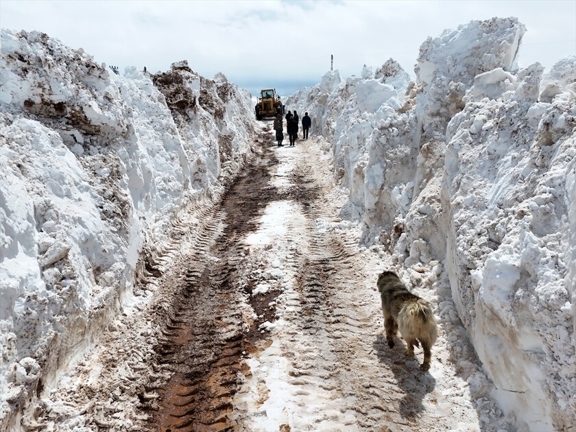 Bingöl'ün kuzeyinde kış, güneyinde bahar yaşanıyor