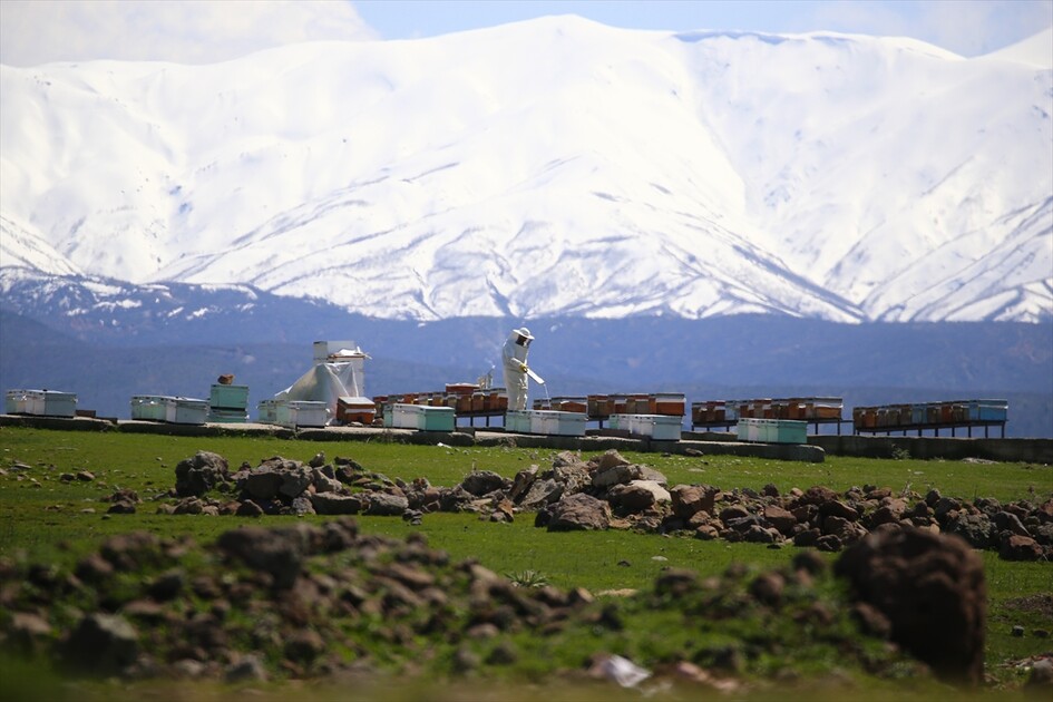 Bingöl'ün kuzeyinde kış, güneyinde bahar yaşanıyor