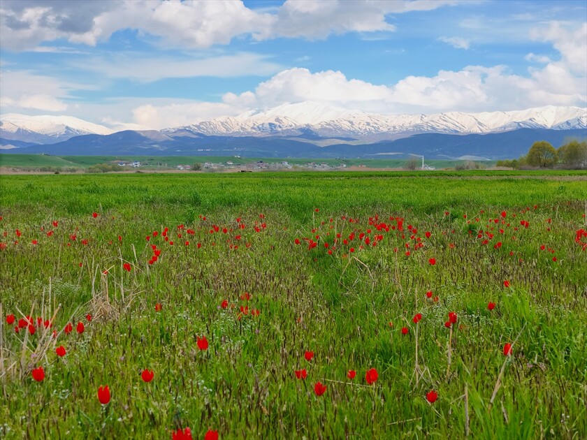 Bingöl'ün kuzeyinde kış, güneyinde bahar yaşanıyor