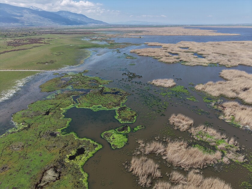Kuraklık riski altındaki Eber Gölü'nün su seviyesi üç kat arttı