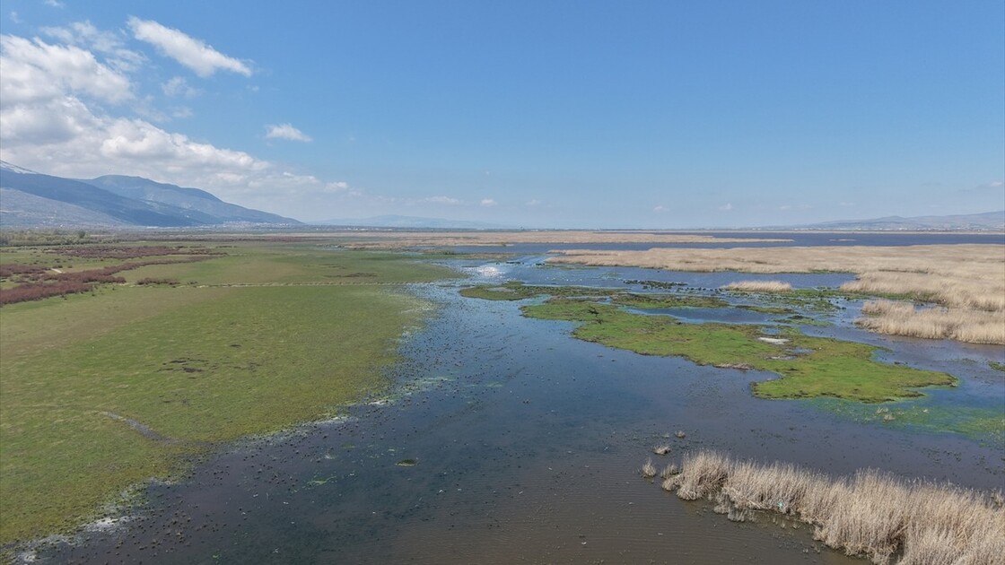 Kuraklık riski altındaki Eber Gölü'nün su seviyesi üç kat arttı