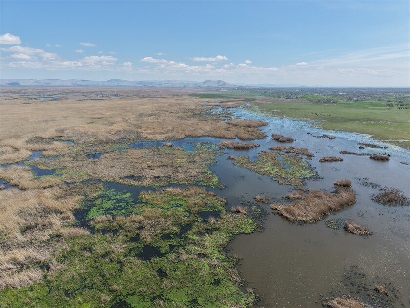 Kuraklık riski altındaki Eber Gölü'nün su seviyesi üç kat arttı