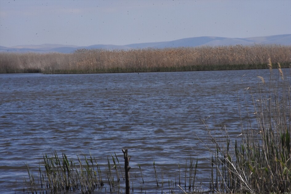 Kuraklık riski altındaki Eber Gölü'nün su seviyesi üç kat arttı