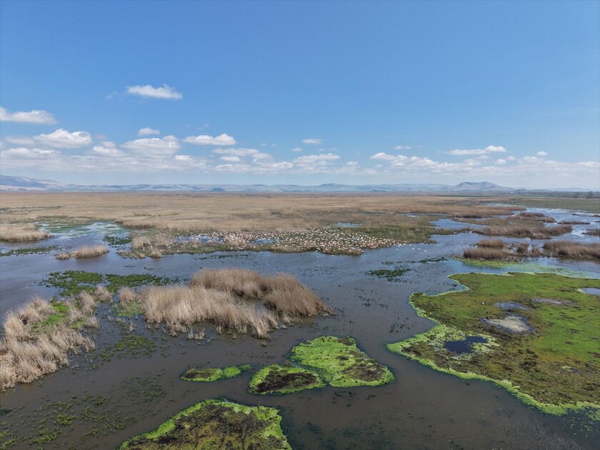 Kuraklık riski altındaki Eber Gölü'nün su seviyesi üç kat arttı