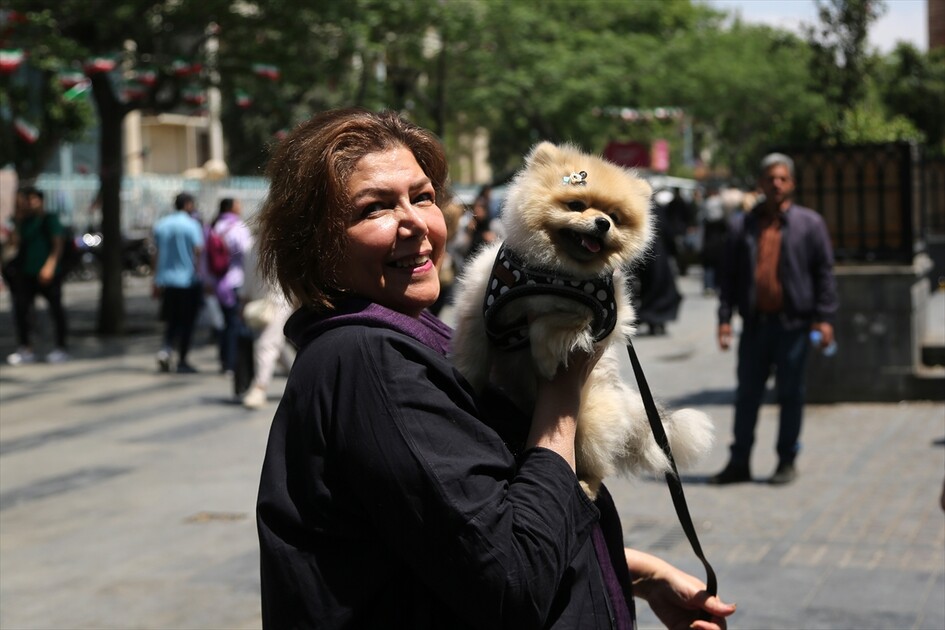 طهران.. عودة الحياة اليومية إلى وتيرتها الطبيعية مع سريان وقف إطلاق النار