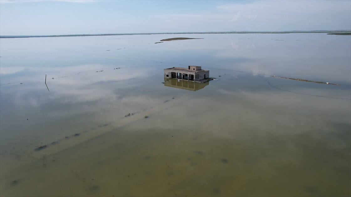 سوريا.. سيول تغرق منازل وأراضي عشرات العائلات بريف إدلب