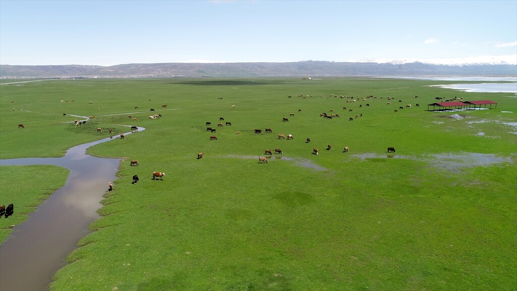 Muş'ta yağışlar geçen yıla göre yüzde 200 arttı