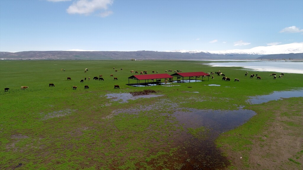 Muş'ta yağışlar geçen yıla göre yüzde 200 arttı