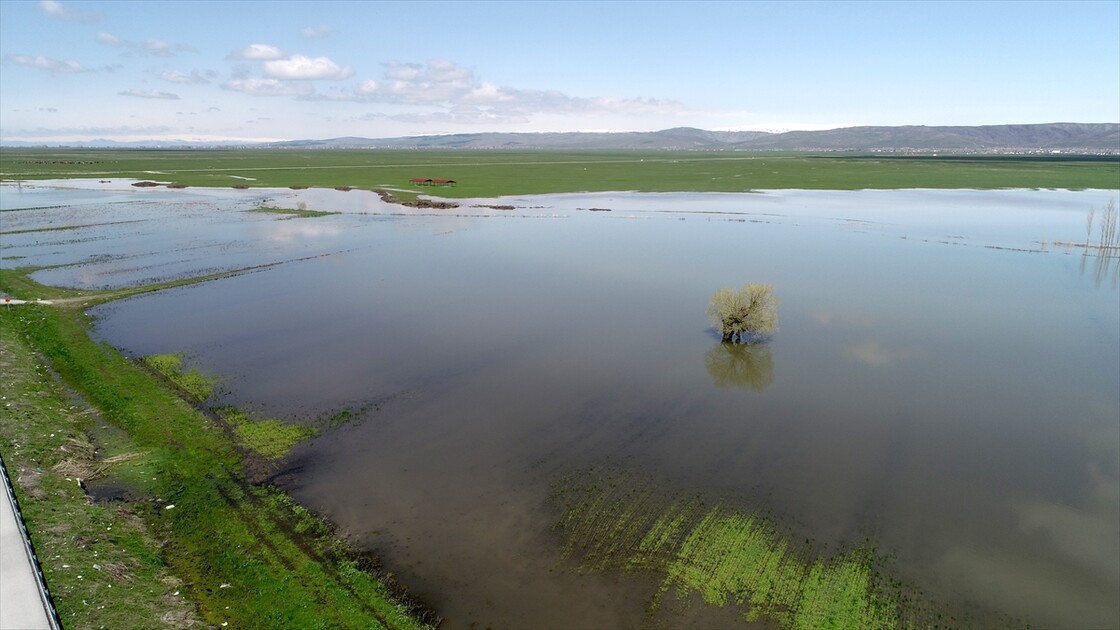 Muş'ta yağışlar geçen yıla göre yüzde 200 arttı