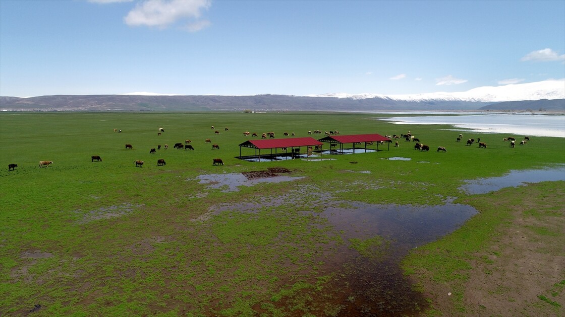 Muş'ta yağışlar geçen yıla göre yüzde 200 arttı