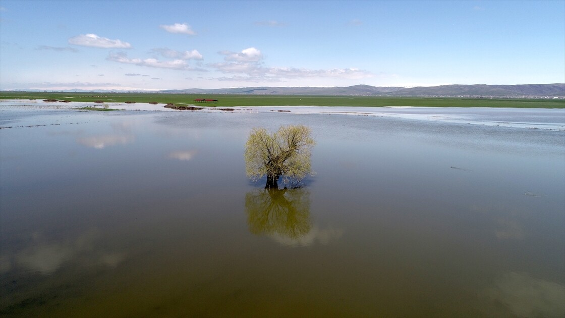 Muş'ta yağışlar geçen yıla göre yüzde 200 arttı