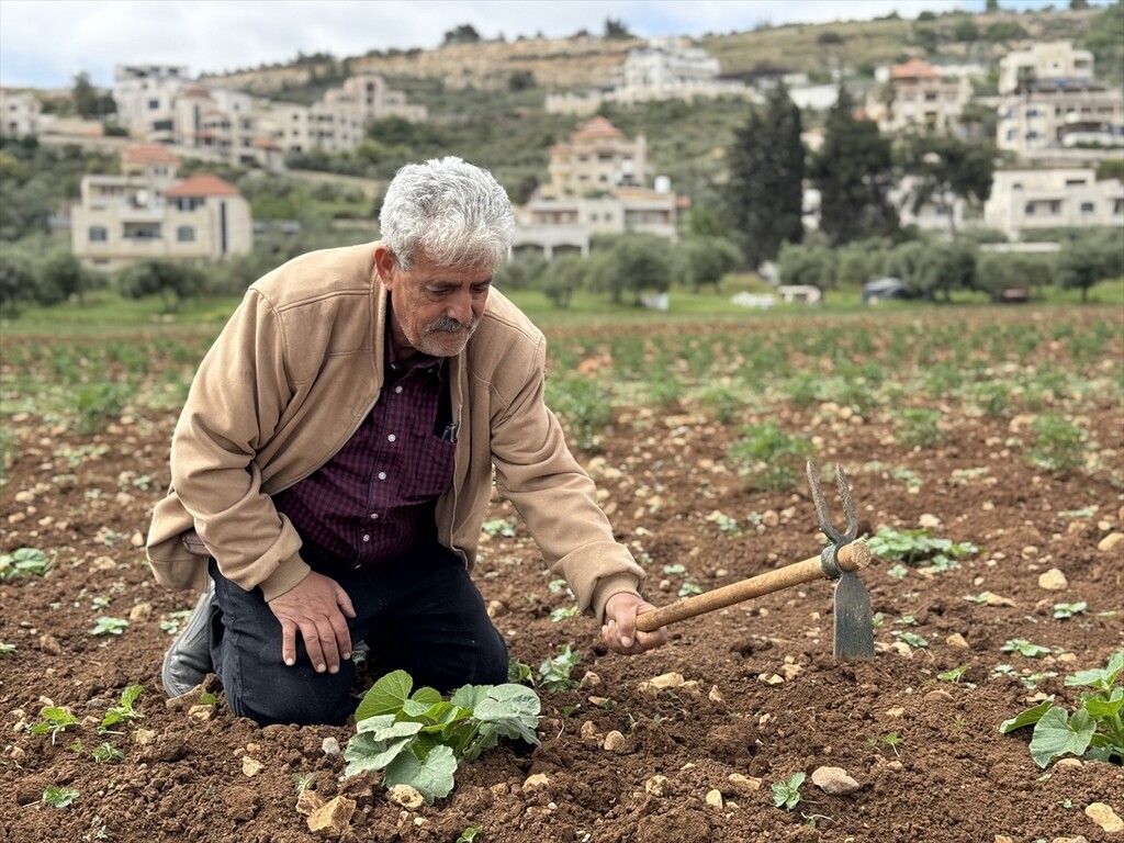 Palestinian farmer continues cultivation in West Bank despite restrictions