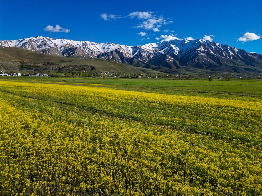 لە لووتکەی چیای ئارتۆس وەرزی زستان و لە بنارەکانی وەرزی بەهارە