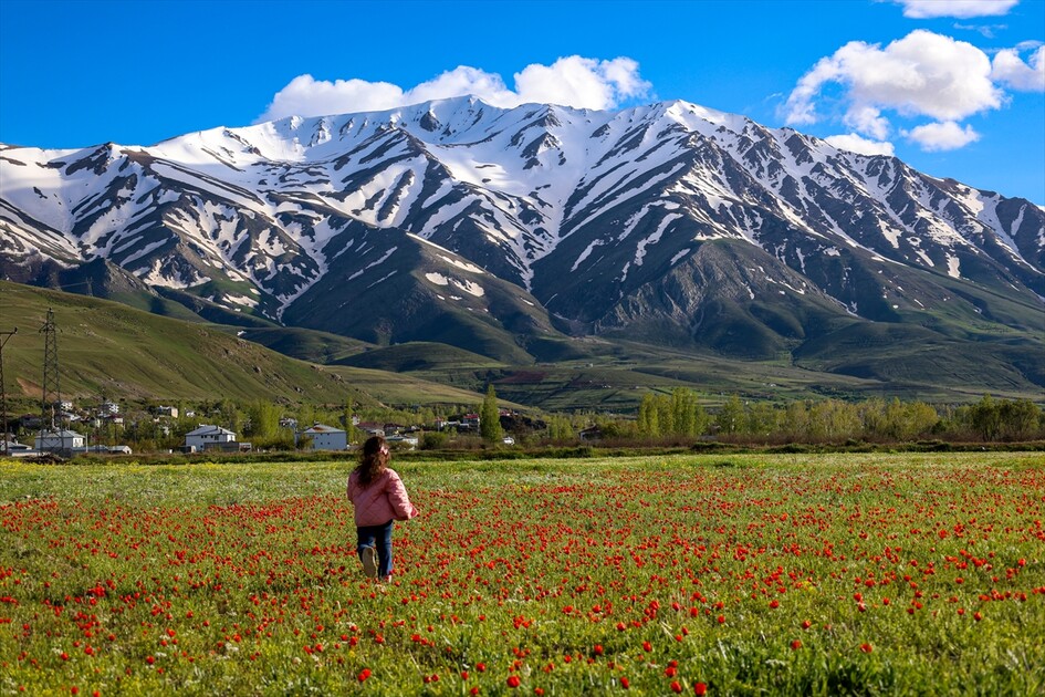 لە لووتکەی چیای ئارتۆس وەرزی زستان و لە بنارەکانی وەرزی بەهارە