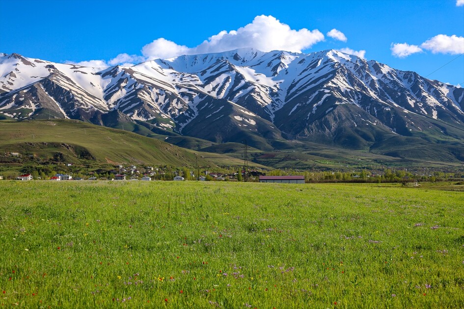 لە لووتکەی چیای ئارتۆس وەرزی زستان و لە بنارەکانی وەرزی بەهارە