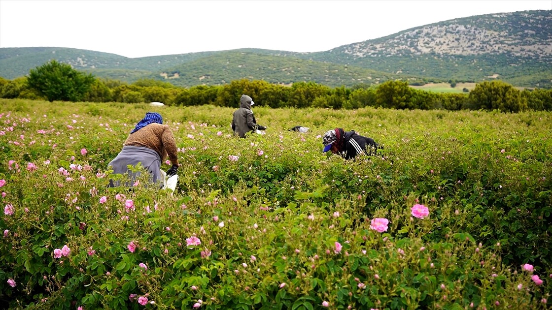 Türkiye’nin