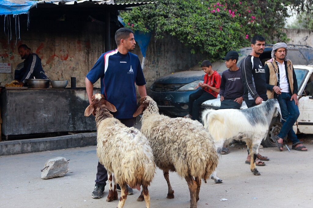 İsrail saldırıları altındaki Gazze'de Kurban Bayramı hazırlıkları