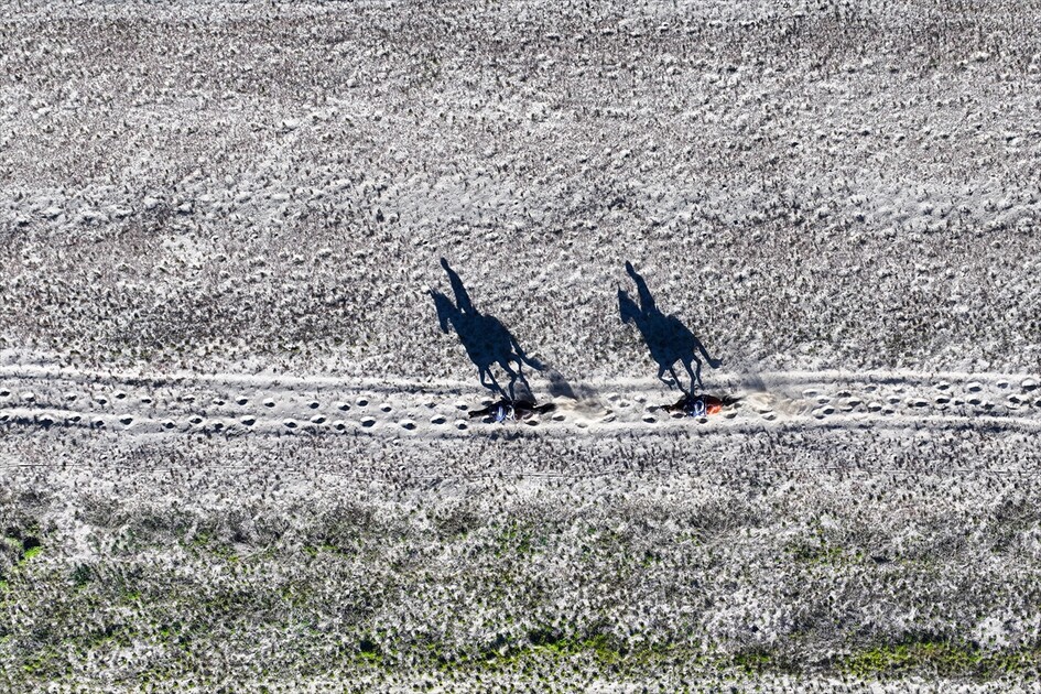 Van'da atlı jandarma timi inci kefali için görevde