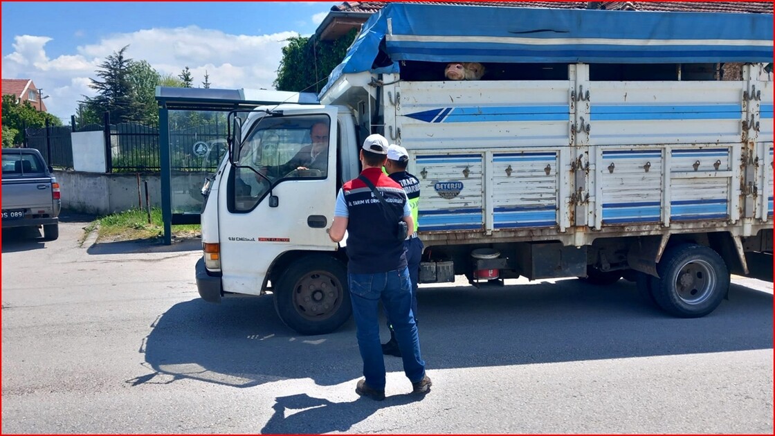 Anadolu Otoyolu'nun Düzce kesiminde bayram tatili yoğunluğu sürüyor