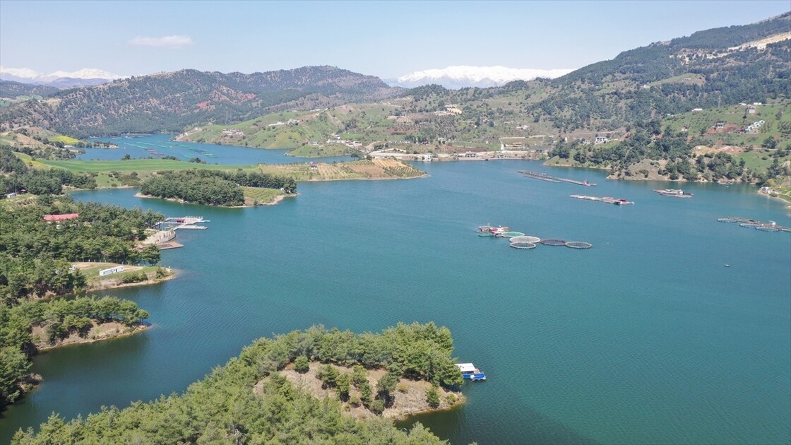 Kahramanmaraş'ta yağışlar barajları doldurdu