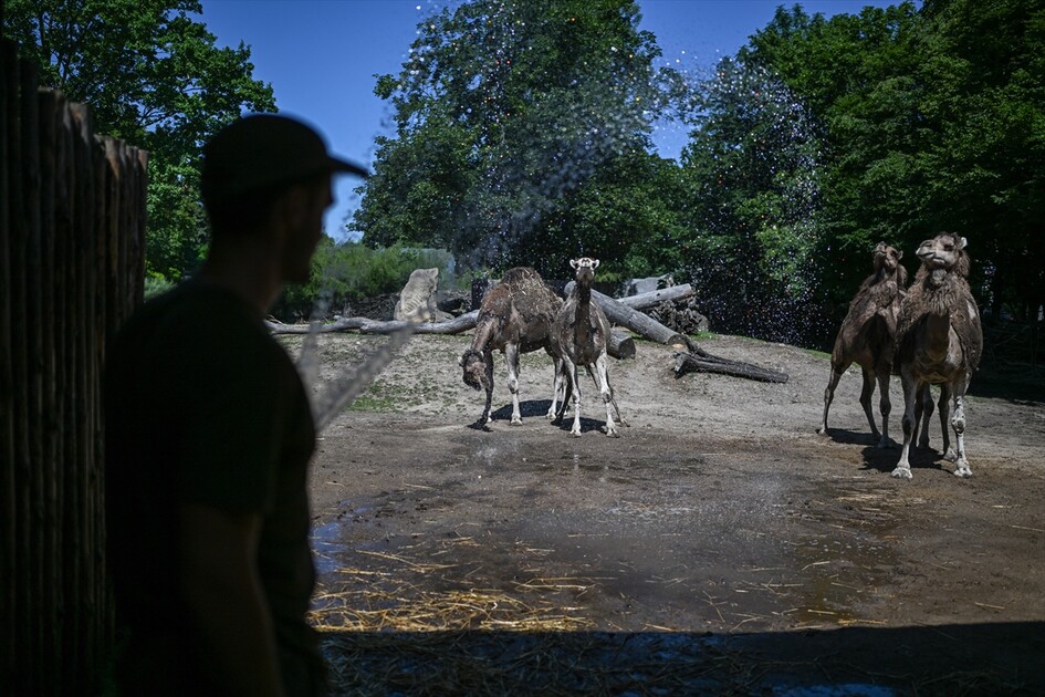 Afrika sıcak hava dalgası Polonya'yı etkisi altına aldı