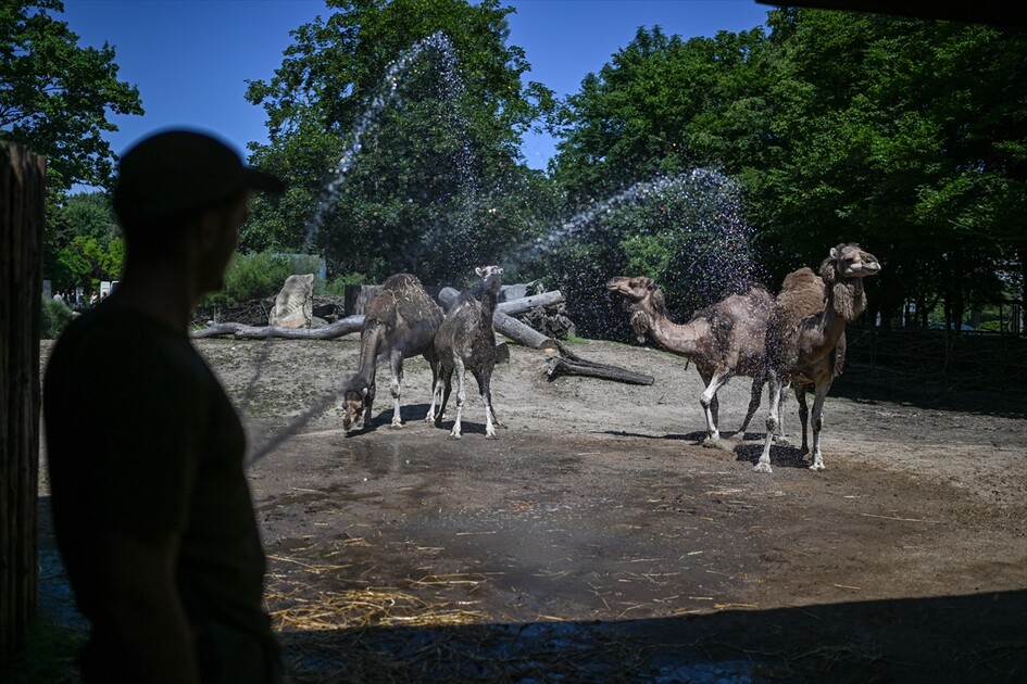 Afrika sıcak hava dalgası Polonya'yı etkisi altına aldı
