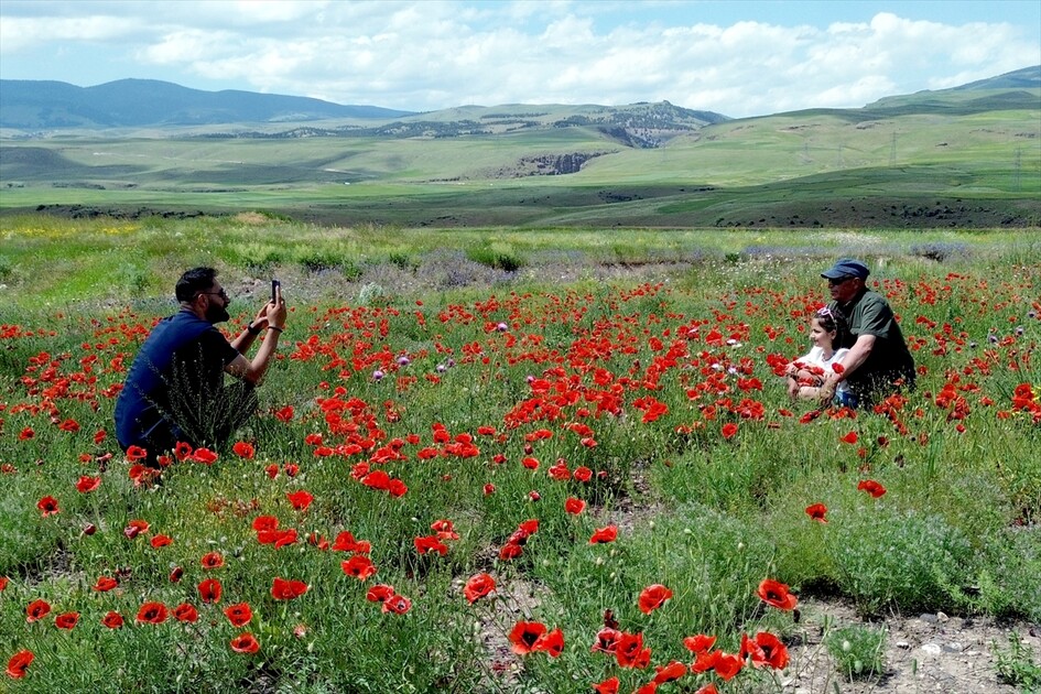 Siruşta Sariqamîşê bi kulîlkên sor û zer xemilî