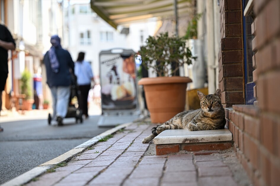 İstanbul'da sıcak hava etkili oldu