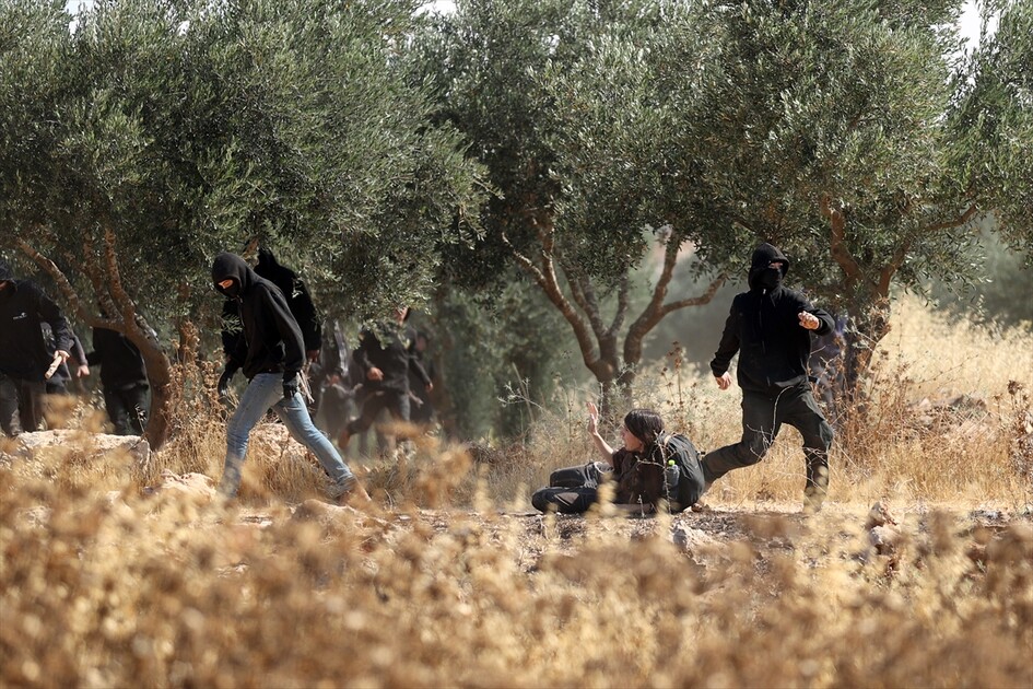 Israeli settlers attack Palestinians, foreign activists in West Bank