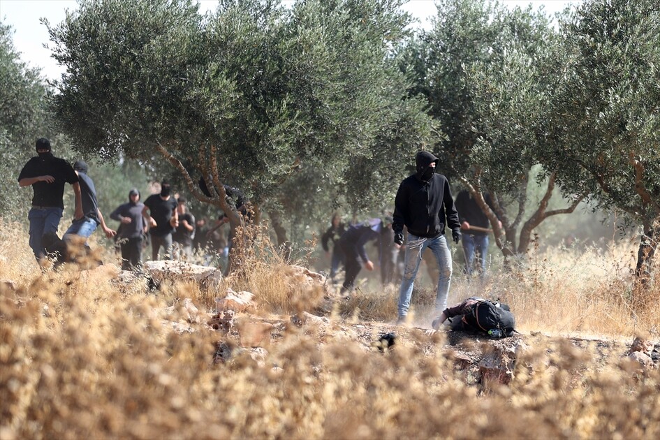 Israeli settlers attack Palestinians, foreign activists in West Bank