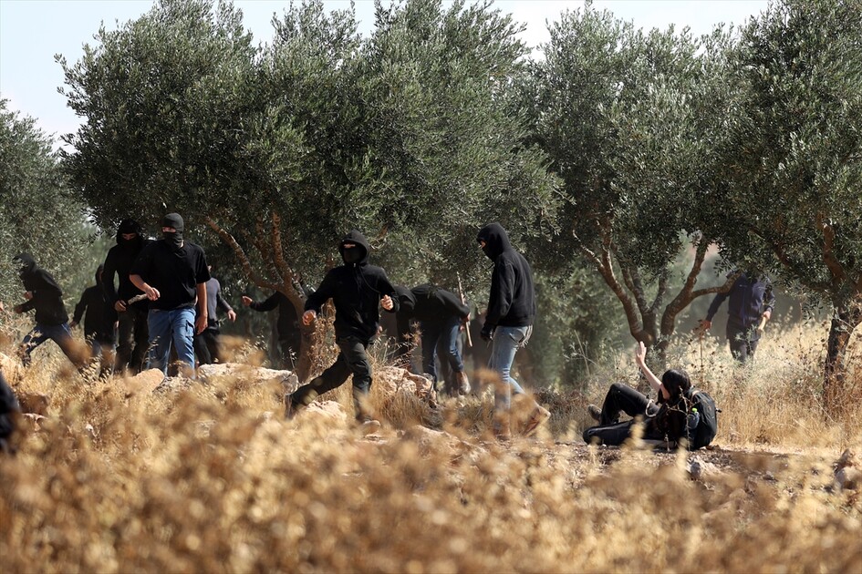 Israeli settlers attack Palestinians, foreign activists in West Bank