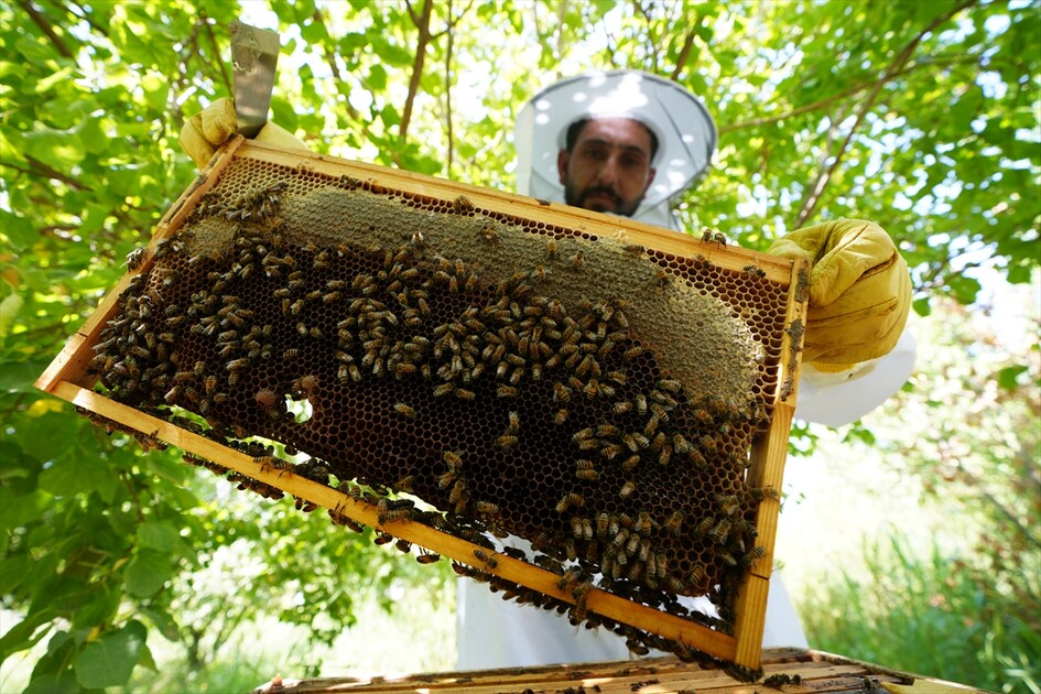 ئاژانسی تیکای تورکیا یارمەتی پێشکەش بە ٢٠٠ ھەنگەوانی عێراقی لە ئەنبار کرد