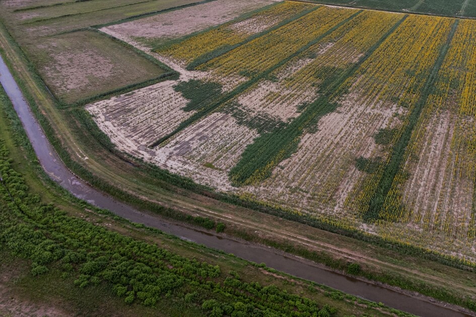 İtalya'da Po Nehri'ndeki kuraklık nedeniyle tuzlu deniz suyu deltadan içerilere girmeye başladı