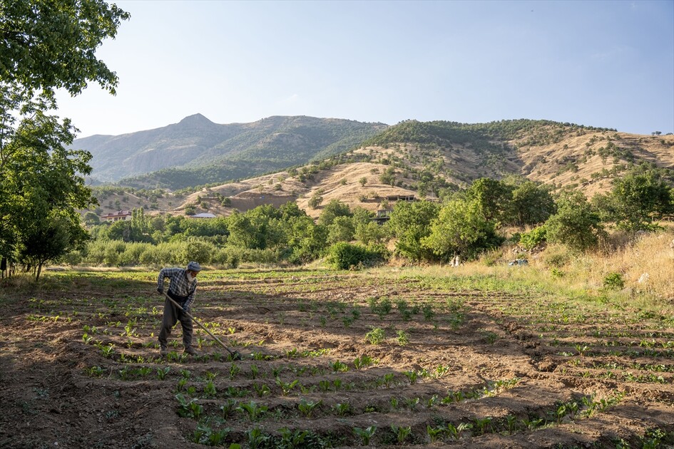دوای پڕۆسەی تورکیای بێ تیرۆر گوندەکانی ھەرێم ئاوەدان دەبنەوە و خەڵک دەگەڕێنەوە سەر زێدی خۆیان