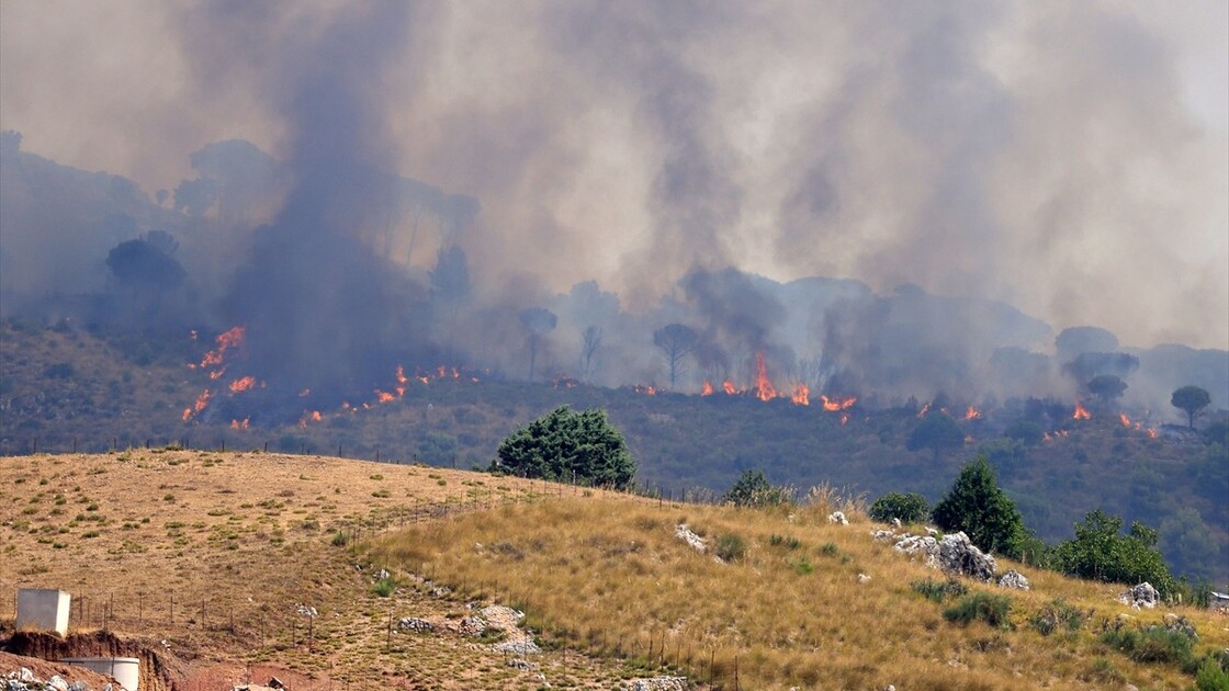 İtalya'nın Sicilya Adası orman yangınlarıyla mücadele ediyor