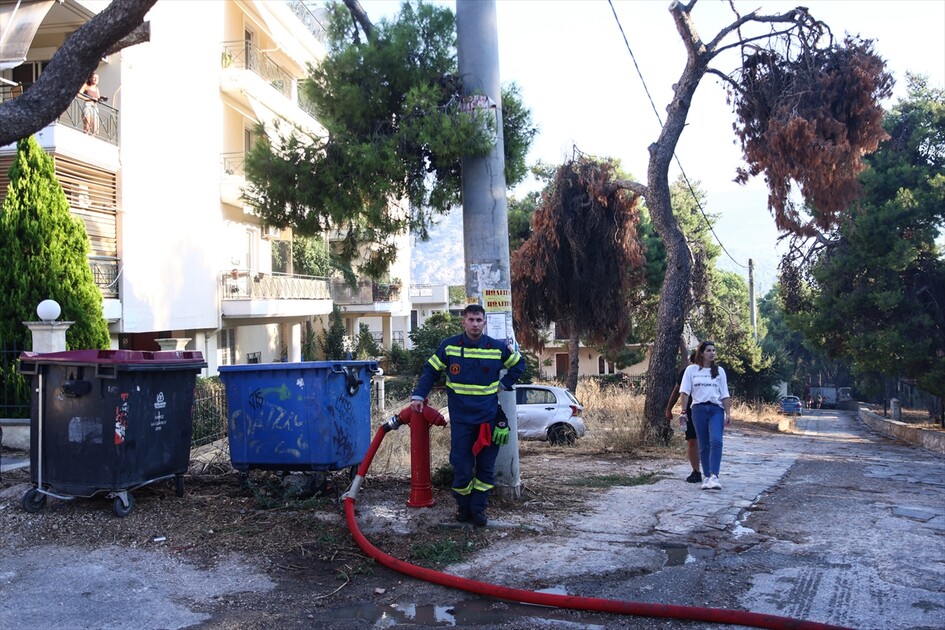 Yunanistan'ın başkenti Atina'nın batısındaki Haydari bölgesi yakınlarında orman yangını çıktı