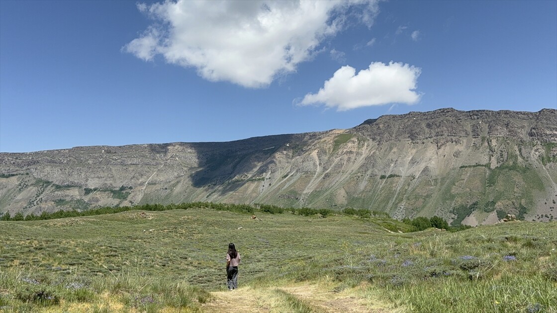 Tarihin ve doğal güzelliklerin buluştuğu şehir: Bitlis