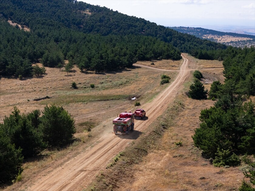 Yozgat'ın orman gözcüleri yangına karşı 7 gün 24 saat nöbette
