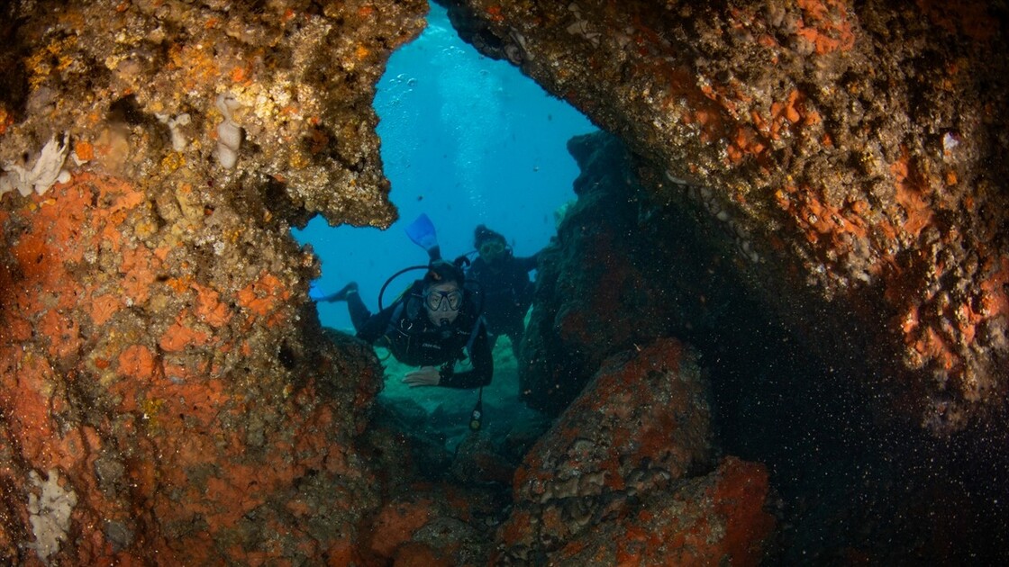 Kruvaziyer turistleri Kuşadası'nın su altı güzelliklerini de keşfediyor