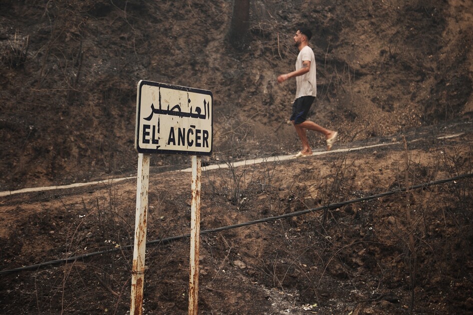 الجزائر.. مصرع 12 شخصا جراء حرائق غابات بعدة ولايات