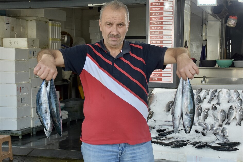 Av sezonunun ilk gününde tezgahlar palamutla doldu